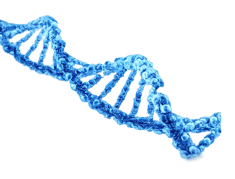 DNA double helix — Genomics