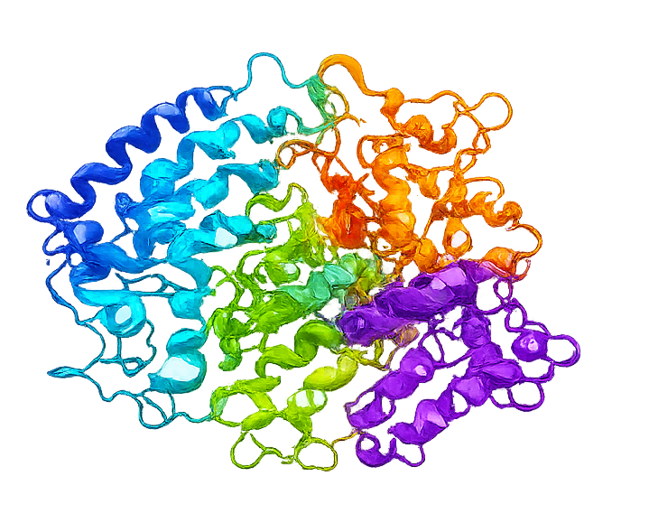 Folded protein structure — Proteomics